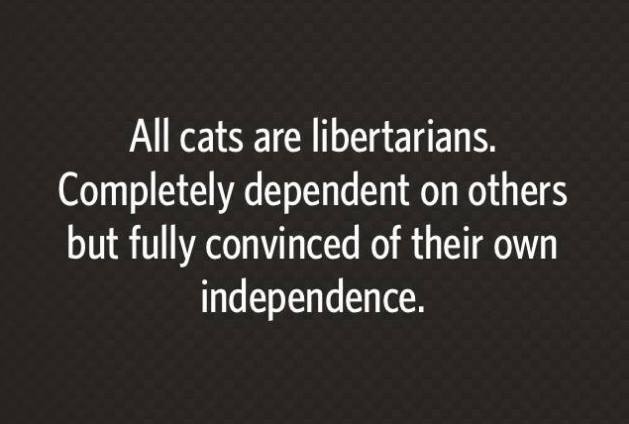 Libertarian Cat